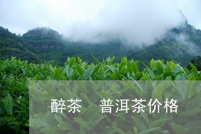 醉茶 普洱茶价格/2023041256038